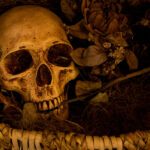 Still Life Photography with human skull
