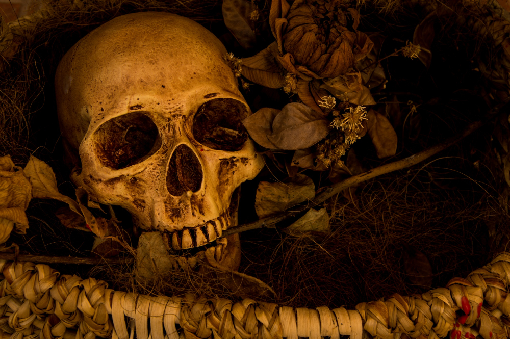 Still Life Photography with human skull